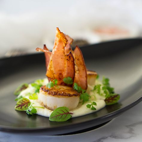 Learn how to make perfect pan seared scallops with cauliflower puree and hickory smoked bacon. The most delicious first course for a romantic dinner. Scallop Cauliflower Recipes, Scallop Starter Fine Dining, Scallop Appetizer Recipes Fancy, Scallop Entree Fine Dining, Entree Recipes Starters, Fancy Entrees Dinners, Entrees Recipes Starters, Fine Dining Starters Appetizers, Fancy Scallops