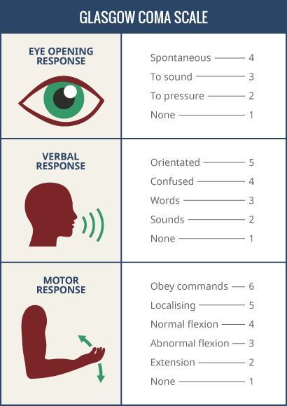 Glasgow Coma Scale (gcs), Pass Nursing School, Glasgow Coma Scale, Emt Study, Paramedic School, Nurse Study, Medical Study, Student Tips, Nurse Study Notes