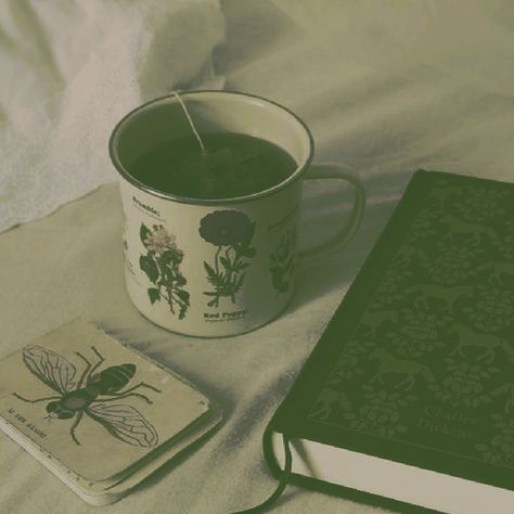 virgo - zodiac sign - aesthetic - green - nature Green Asethics Vintage, Save Green Aesthetic, Light Green Aesthetic Vintage, Green Work Aesthetic, Green Aesthetic Medicine, Green Writing Aesthetic, Academic Green Aesthetic, Sage Green Asthetics Photos, Green School Aesthetic