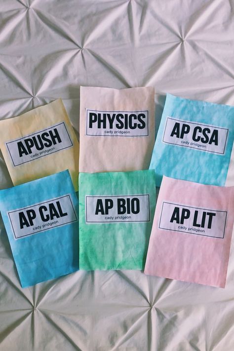 School Binders, School Highschool, Time And Attention, School Binder, Binder Covers, Ap Art, School Organization, Binders, School Crafts