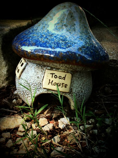 I want this toad abode.. Pottery Toad House, Ceramic Toad House, Toad Habitat, Frog Hotel, Toad Abode, Garden Ceramics, Frog Habitat, Toad House, Frog House