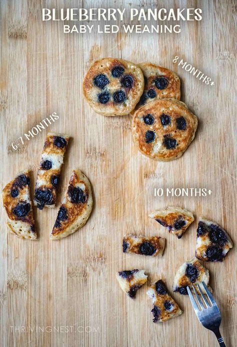 Baby Led Weaning Blueberries, Baby Lef Weaning 7 Months, 6 Month Pancakes, Blw Starter Food, Blw Eggs 6 Months, Babyled Weaning Recipe, 7 Month Old Blw Ideas, Blw Blueberry Pancakes, 6 Month Old Pancakes