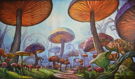 Mushroom Patch, Poppy Flower Painting, Garden Mural, Kids Room Murals, Mushroom Forest, Forest Painting, Mushroom Art, Mural Painting, Art Crafts