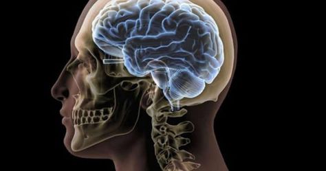 Researchers Uncover the Mathematics of Brain Waves Skull And Brain, Brain Project, Brain Painting, Cerebral Cortex, Eastern Medicine, Mathematical Model, Brain Stimulation, Brain Supplements, Wolverine Marvel