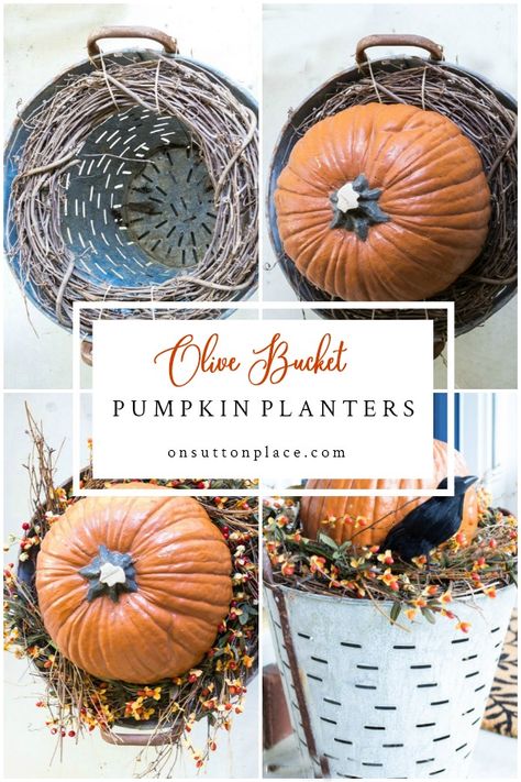 Skeleton Display, Halloween Bonfire, Pumpkin Planters, Pumpkins Diy, Porch Halloween, Olive Bucket, Halloween Decor Diy, Pumpkin Planter, Diy Halloween Decor