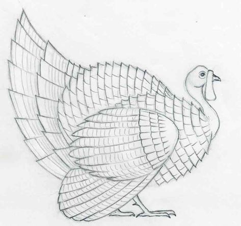 Turkey Sketch Easy, Turkey Bird Drawing, Drawing For Sketch Book, Turkey Drawing Easy, Turkey Sketch, Bird Drawings Easy, Turkey Tattoo, Shed Painting, Draw A Turkey