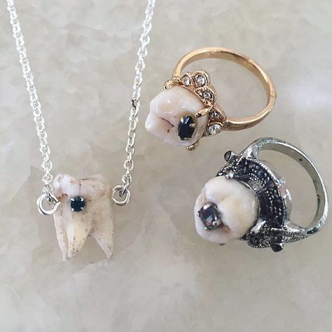 PurgatoryPlaythings on Instagram: “Authentic Human Molar Jewelry ⚜️🦷⚜️ Available at PurgatoryPlaythings.etsy.com #realbonejewelry #oddities #bonejewelry #taxidermyjewelry…” Human Teeth Jewelry, Real Bone Jewelry, Taxidermy Jewelry, Tooth Jewelry, Human Teeth, Teeth Jewelry, Bone Jewelry, Pandora Charm Bracelet, Pearl Earrings