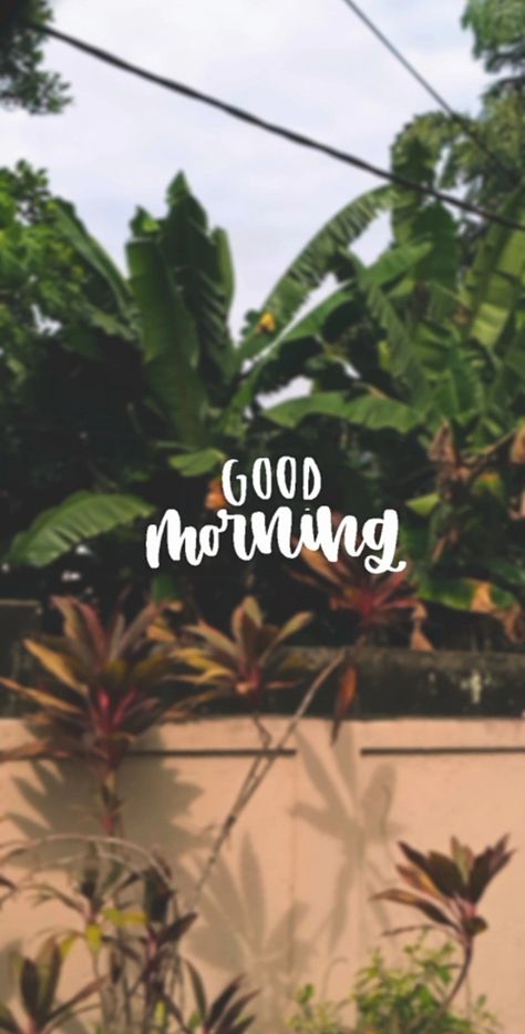 Good Morning Snap Streak, Good Morning Snap, Morning Snap, Beautiful Flower Quotes, Morning Story, Delhi College, Snap Stories, Zanzibar Travel, Night Story