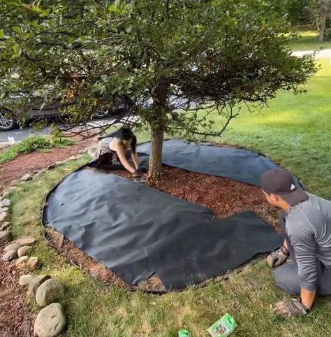 Marble Chips Landscaping Ideas, Replace Mulch With Rock, Mulch Replacement Ideas, Black Granite Landscaping Rock, Black Mulch And Rock Landscaping, Rock And Mulch Landscaping Front Yards, Rubber Mulch Landscaping Ideas, Black Mulch Landscaping Front Yards, Mulch Glue For Rocks