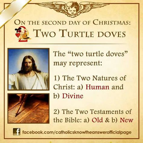 Second Day Of Christmas, Two Turtle Doves, Catholic Christmas, Turtle Doves, Catholic Beliefs, Faith Formation, Meaning Of Christmas, Religious Education, Catholic Prayers