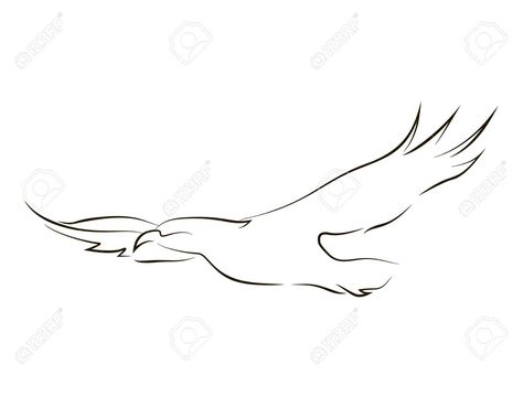 Flying Bird Drawing Simple, Line Hummingbird, Hawk Line Drawing, Sketch Of Birds Flying, Eagle In Flight Drawing, Birds Flying Silhouette Tattoo, Hawk Tattoo, One Line Tattoo, Ganesha Tattoo