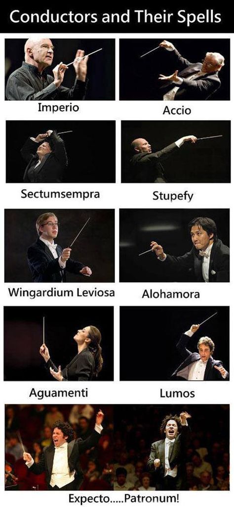 Citate Harry Potter, Glume Harry Potter, Band Jokes, Music Jokes, Band Geek, Band Humor, Harry Potter Jokes, Harry Potter Love, Harry Potter Quotes