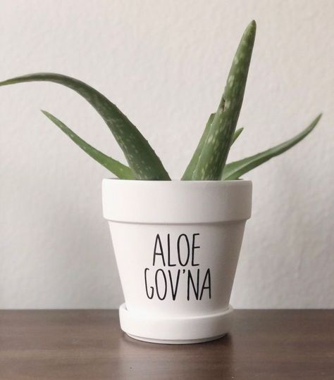 Plant Puns, Plant Pot Design, Painted Pots Diy, Painted Flower Pots, Funny Gift Idea, Pot Plant, Pot Designs, A Font, Clay Pot