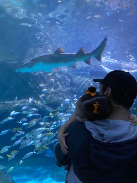 Aquarium / Toddler Picture / Father & Daughter / Faceless Fatherhood Aesthetic Faceless, Father Aesthetic Daughter, Father And Daughter Aesthetic Faceless, Father Daughter Goals Aesthetic, Dad With Daughter Aesthetic, Dad Daughter Aesthetic, Single Father Aesthetic, Dauther And Father Aesthetic, Mom And Daughter Aesthetic Faceless