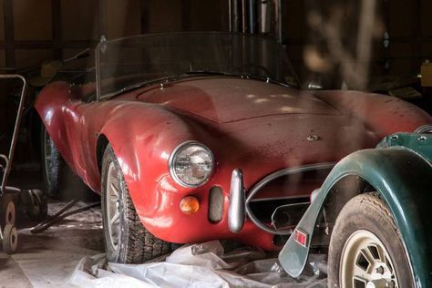 Ford Shelby Cobra, Barn Find Cars, 1965 Shelby Cobra, Shelby Car, Cobra 427, Shelby Cobra 427, 427 Cobra, Ac Cobra, Ford Shelby