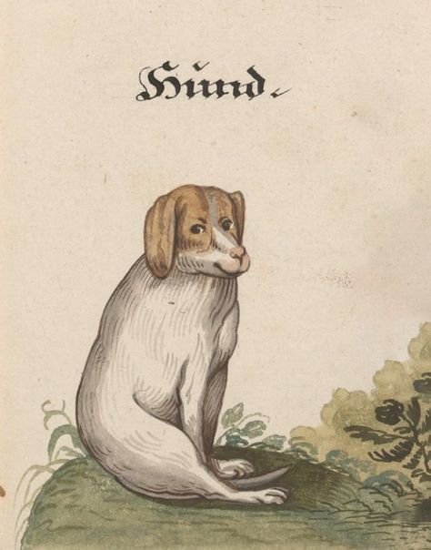 Funny Medieval, Ugly Animals, Medieval Drawings, Medieval Artwork, Medieval Paintings, Art Twitter, Funny Paintings, Forest Creatures, Medieval History