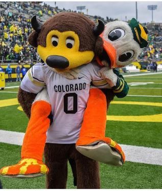 CU Buffs mascot Chip celebrating a Buffs win over the Oregon Ducks... Sko Buffs, Cu Boulder, Ducks Football, Oregon Ducks Football, Colorado Buffaloes, Team Mascots, Dream College, University Of Oregon, Oregon Ducks