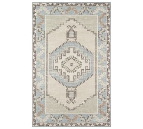 Lenora Persian-Style Rug - Light Blue | Pottery Barn Graphic Rug, Light Blue Rug, Pastel Colour Palette, Persian Style Rug, Light Blue Area Rug, Medallion Rug, Pink Area Rug, Brown Area Rugs, How To Make Light