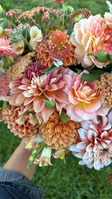 Garden Answer on Instagram: "My most favorite of all the flower colors 🧡🧡🧡 (Peaches n’ Cream Dahlia, Orange Pom Pon Dahlia, Crystal Beauty Celosia, Dalmatian Peach Foxglove, Summer Pastels Yarrow, Apricot Statice, Queen Lemon Peach Zinnia, Madame Butterfly Bronze with White Snapdragon, Qis Orange Gomphrena, Fun in the Sun Rose & Apricot Peach Strawflowers)" Orange Gomphrena, Peach Zinnia, Peach Foxglove, White Snapdragon, Dahlia Orange, Cream Dahlia, Garden Answer, Phil Wickham, Pom Pon