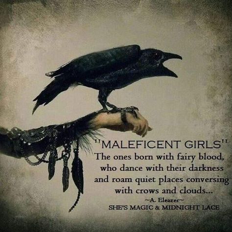 Maleficent Raven Tattoo, Don't Mess With A Witch, Nocturnal Witchcraft, Maleficent Quotes, Gothic Quotes, Witches Book, Witch Quotes, Crows And Ravens, Crows Ravens