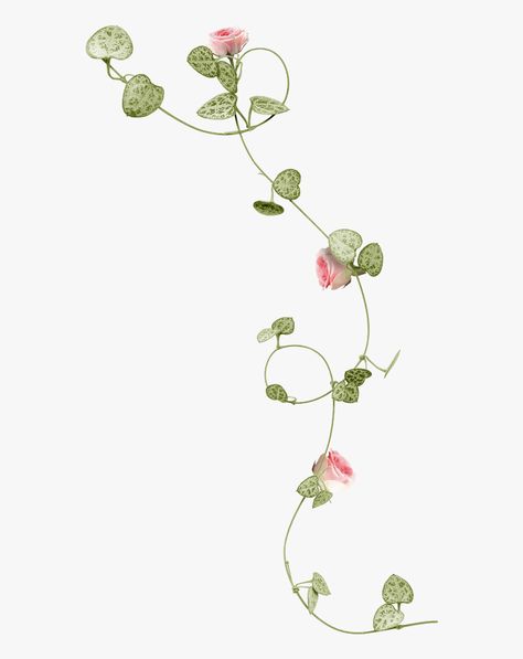 Cottagecore Flowers Png, Decorative Flowers Drawing, Slide Decoration Png, Flowers Png For Editing, Transparent Flowers Png, Flowers Png Aesthetic, Flower Corner Border Design, Cute Transparent Icons, Flower Png Aesthetic