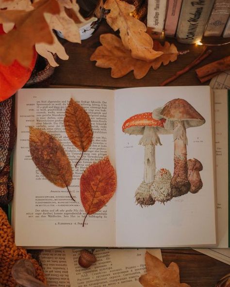 Goblin Core Aesthetic, Cozy Photos, Cottagecore Autumn, Autumn Cottagecore, Mushroom Core, Sony A6400, Fall Leaf Decor, Fall Cottagecore, Cottagecore Fall