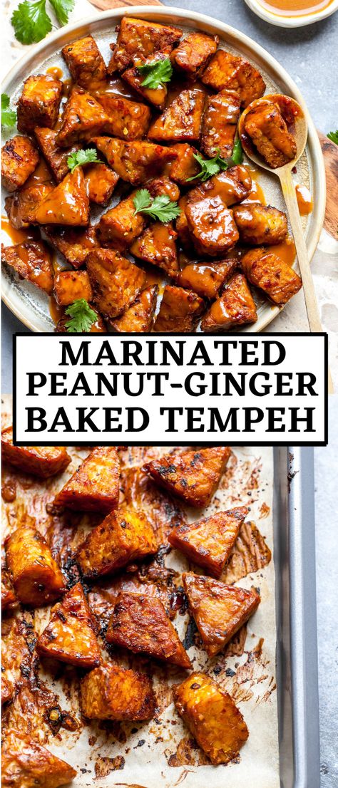 Asian Tempeh Recipes, Marinated Tempeh Recipes, Tempeh Meal Prep, Vegan Ginger Recipes, Tempeh Sandwich Recipes, Tempeh Marinade Recipes, Baked Tempeh Recipes, Tempeh Meals, Tempeh Noodles