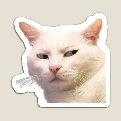 Promote | Redbubble Photos For Stickers, Cat Stickers Aesthetic, Buff Cat, Wp Sticker, Cats Stickers, Mobile Stickers, Weird Stickers, Funny Laptop Stickers, Kitten Stickers