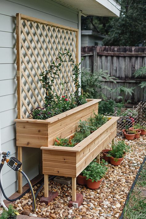 Small Herb Gardens Outdoor, Raised Garden Beds Patio, Raised Planter With Trellis, Two Tier Garden Bed, Tiered Garden Planter, Raised Herb Planter, Diy Herb Garden Planter, Planter Box Vegetable Garden Layout, Post Planter Ideas