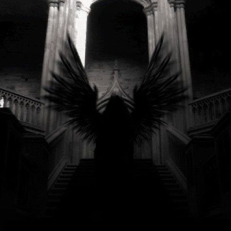 Black Wings Aesthetic, Angel Dark Aesthetic, Angel Widget, Dark Angelcore Aesthetic, Dark Ethereal Aesthetic, Mia Corvere, Dark Angelcore, The Zodiac Academy, Zodiac Academy Aesthetic