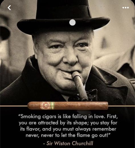 Whiskey Room, Cigars And Women, Premium Cigars, Instagram Words, Cuban Cigars, Good Cigars, Pipes And Cigars, Cigars And Whiskey, Daily Inspiration Quotes