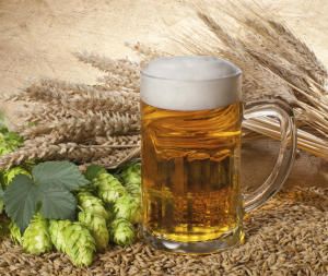 The ancient origins of beer #beer #beereducation Beer Tag, Beer Wallpaper, Beer Ingredients, Beer History, Beer Pictures, Homemade Beer, Cocoa Beans, Malted Barley, Beer Recipes