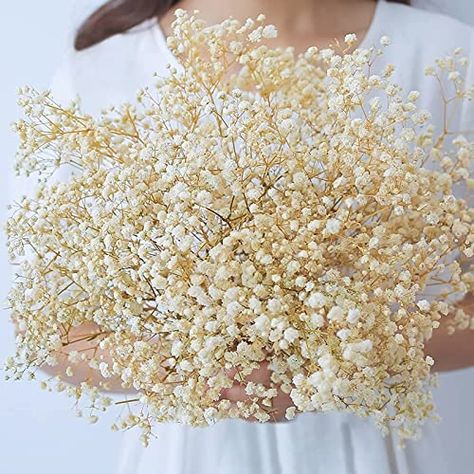 AmazonSmile: beerfingo Dried-Flowers-Babys-Breath-Bouquet-17.2 inch 1500+ Ivory White Flowers, Natural Gypsophila Branches for Home Decor, Wedding, Table Vase Decor, Dried Flowers for Vase,Dry Flowers : Home & Kitchen Over Table Rod, Wedding Table Vases, Table Decor Diy, Lemonade Birthday, Sunshine Baby Shower, Breath Flowers, Dried Bouquet, Baby Breath, Moms Crafts