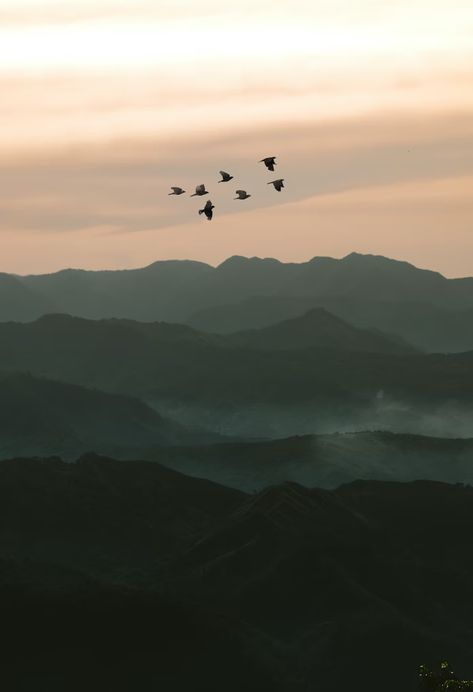 birds flying over the mountains during daytime photo – Free Wallpapers Image on Unsplash Flying In The Sky, Bird Flying, Sky Photos, Bird Wallpaper, Closer To Nature, Nature Backgrounds, Birds Flying, Nature Images, Free Wallpaper