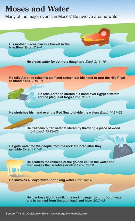 The Quick View Bible Moses and Water Moses Bible Study, Moses Timeline, Quick View Bible, Bible Charts, Bible Study Help, Biblical Teaching, Bible Study Guide, Bible Characters, Bible Study Notebook