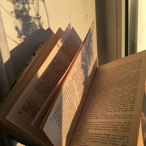 Light Acadamia, Aspiring Writer, Academia Aesthetic, Foto Ideas Instagram, Beige Aesthetic, Brown Aesthetic, Photo Images, Book Shelf, I Love Books