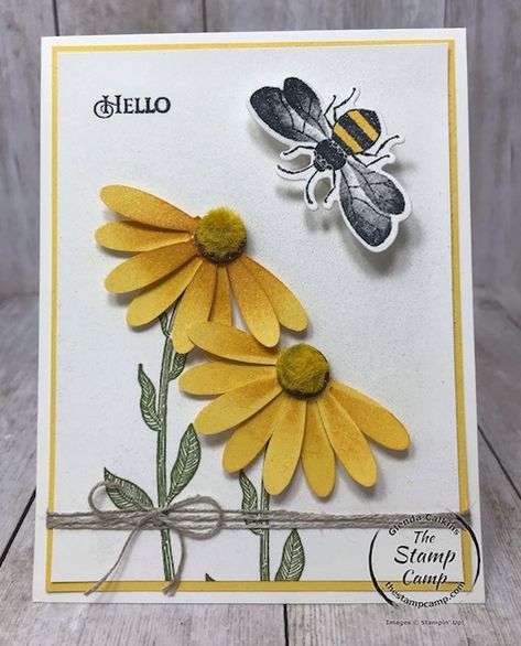 Bee Cards Handmade, Coneflower Cards, Wobble Cards, Cheerful Daisies, Sunflower Cards, Daisy Cards, Bee Cards, Ctmh Cards, Man Set