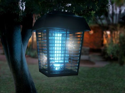 These insects and bugs do important for our climate but let’s be honest they annoy the crap out of us. They not only disrupt our peace but also cause rashes and pimples all over the body. If your home is also swarmed by these insects, it is time to take things in your hand and buy the best electric bug zapper. Mosquito Traps, Kill Bugs, Mosquito Zapper, Kill Mosquitos, Bug Killer, Halloween Ghost Decorations, Fly Swatter, Mosquito Control, Bug Zapper