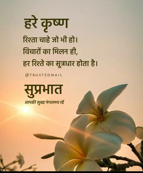 Good Morning Suvichar Hindi, Suprabhat Mornings In Hindi, Gm Quotes Mornings, Suprabhat Hindi Quotes, Good Morning Quotes Hindi, Good Morning Hindi Messages, Cute Morning Quotes, Good Morning Motivational Messages, Bhakti Quotes