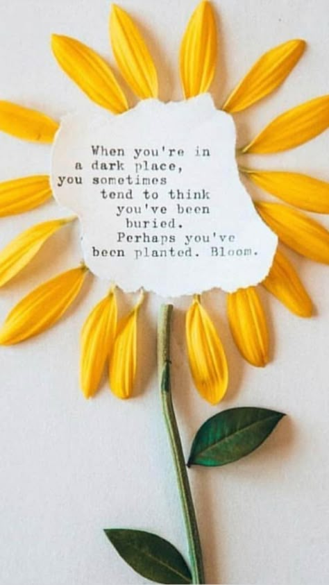 Bloom Flower Quotes Inspirational, Inspirational Quotes Positive, Selfie Quotes, Therapy Quotes, Quirky Quotes, Bloom Where You Are Planted, Study Quotes, Empowerment Quotes, Flower Quotes