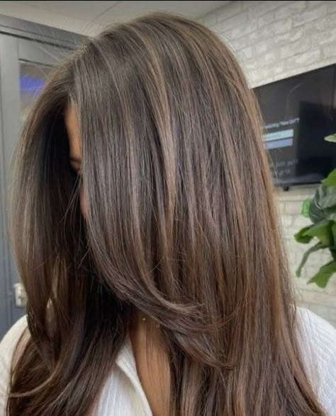 Cool Light Brown Balayage On Dark Hair, Brunette With Subtle Balayage, Ashbrown Haircolor Highlights, Single Process Brown Hair, Darker Brown Hair With Highlights, Black Hair With Brunette Highlights, Light Brown Hair With Black Highlights, Hair Colors For White Skin, Natural Highlights For Brown Hair Dark