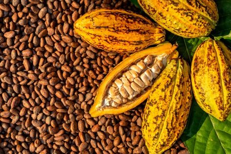 Aromatic cocoa beans as background, coco... | Premium Photo #Freepik #photo #background #food #tree #texture