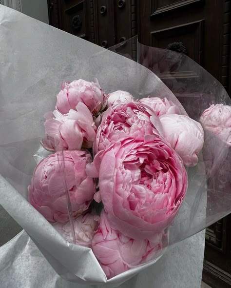 Sun Flowers Aesthetic, Peonies Aesthetic, Peony Care, Arabian Jasmine, Cute Little Gifts, Flower Aesthetics, Pretty Pink Flowers, I Can Buy Myself Flowers, Buy Myself Flowers