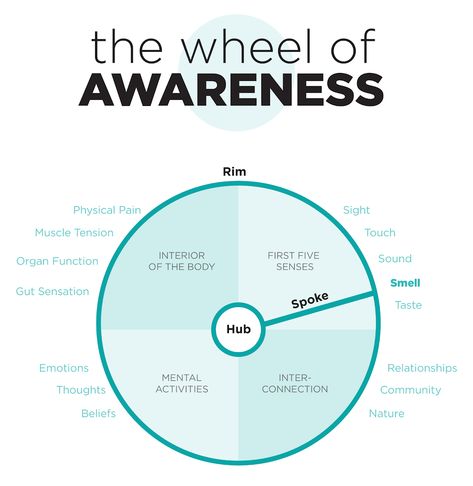 The Wheel of Awareness Wheel Of Awareness, Daniel Siegel, Neuro Science, Dan Siegel, Wellness Wheel, Whole Brain Child, Emotional Maturity, Body Awareness, Physical Pain