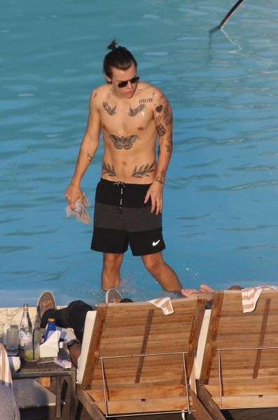 Harry Styles Body, Harry Styles 2014, Harry Styles Facts, Harry Styles Shirtless, Star Beach, Harold Styles, Hot Music, Harry Styles Gif, Harry Styles Quotes