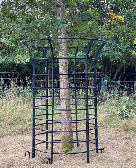 Deer Protection Garden, How To Protect Trees From Deer, Protecting Trees From Deer, Tree Protection Ideas, Tree Protection From Deer, Paddock Ideas, Muntjac Deer, Tree Guards, Tree Protection