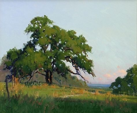 Noe Perez - Morning Light- Oil - Painting entry - March - April 2009 | BoldBrush Painting Competition Environment Study, Oil Painting Trees, Painting Competition, Pastel Landscape, Landscape Art Painting, Watercolor Landscape Paintings, Plein Air Paintings, Online Painting, Artist Websites