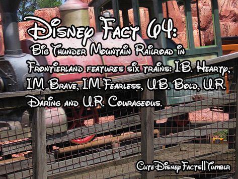 Disneyland Facts, Disney World Facts, Disney Hacks, Nice Messages, World Facts, Disney Trivia, Disneyland Secrets, Disney World Secrets, Thunder Mountain