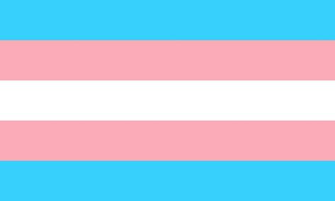 Queer Pride Flag, Transgender Day Of Visibility, Trans Pride Flag, Trans Flag, Between Two Worlds, Lgbtq Flags, Lgbt Flag, Lesbian Flag, Gender Identity