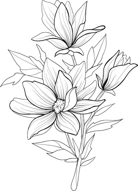 Black outline of magnolia flower Premium... | Premium Vector #Freepik #vector #outline #coloring #drawing #flower-outline Magnolia Tattoo Outline, Flowers Outline Drawing, Magnolia Outline, Flower Outline Drawing, Painting Outlines, Executive Planner, Printable Drawings, Flowers Outline, Outline Flowers